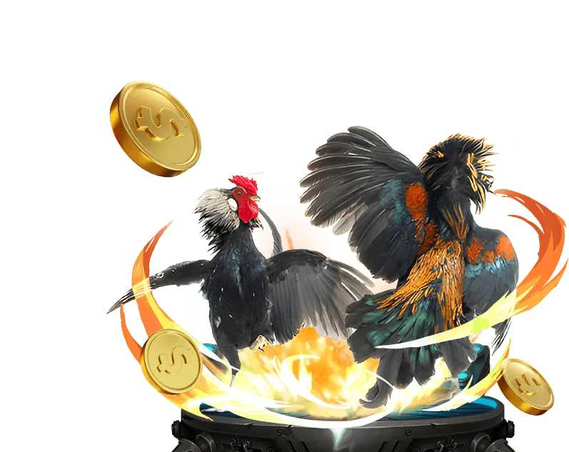 Hình ảnh minh họa chính sách cá cược có trách nhiệm tại 555win 20